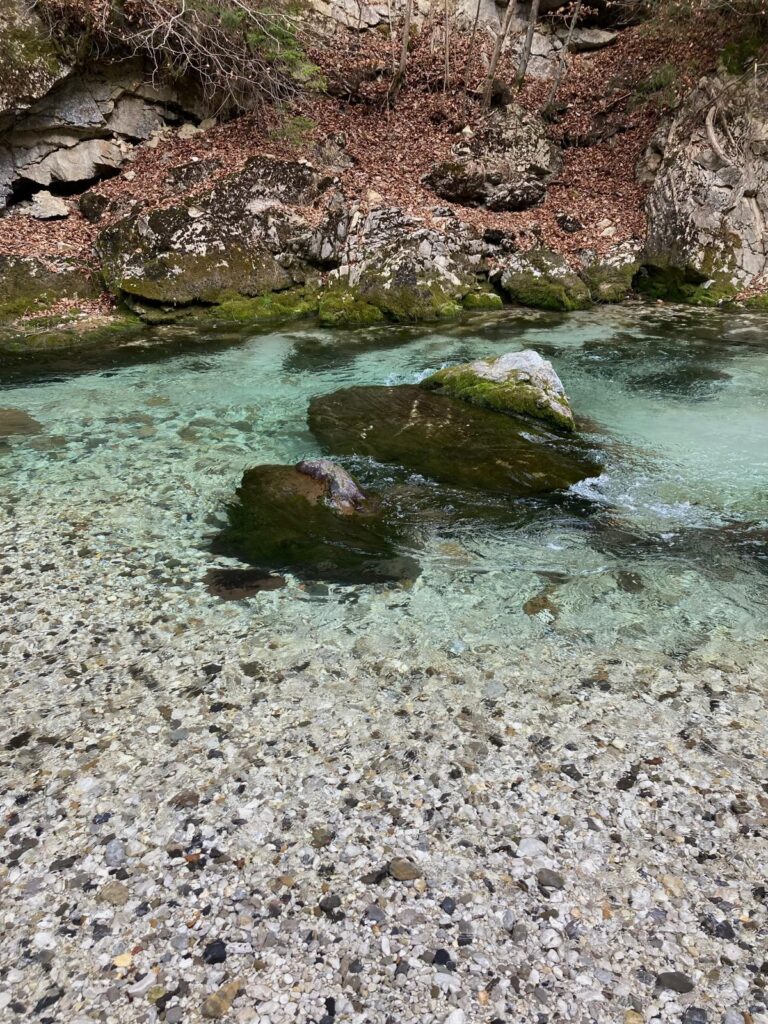 klares Wasser in der Slizza Schlucht.