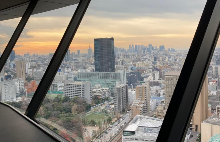 Sicht auf Tokio von oben.