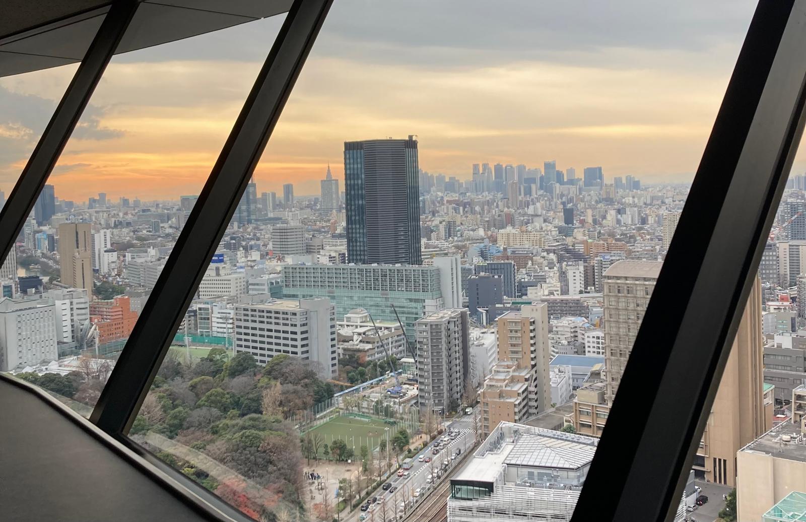 Sicht auf Tokio von oben.