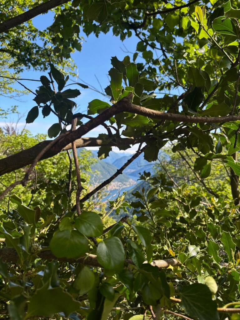 Blick auf den Comer See.