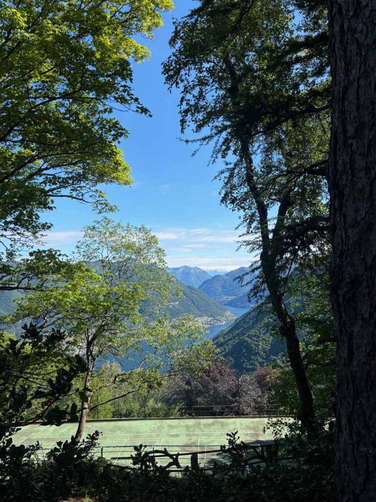 Blick auf den Comer See.