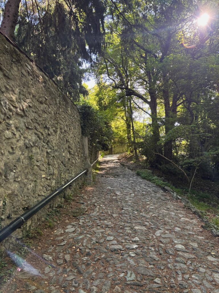 Waldweg in Brunate.