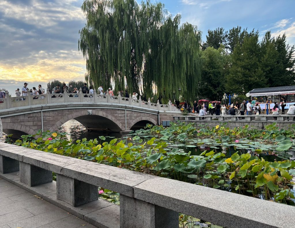 Lotusblüten Xicheng.